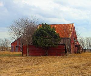 Two Red Barns