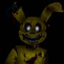 Spring Trap