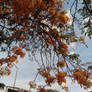 Img 20251101 163715