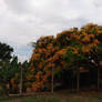 Img 20251117 115951