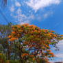 Img 20251115 131310 (1)