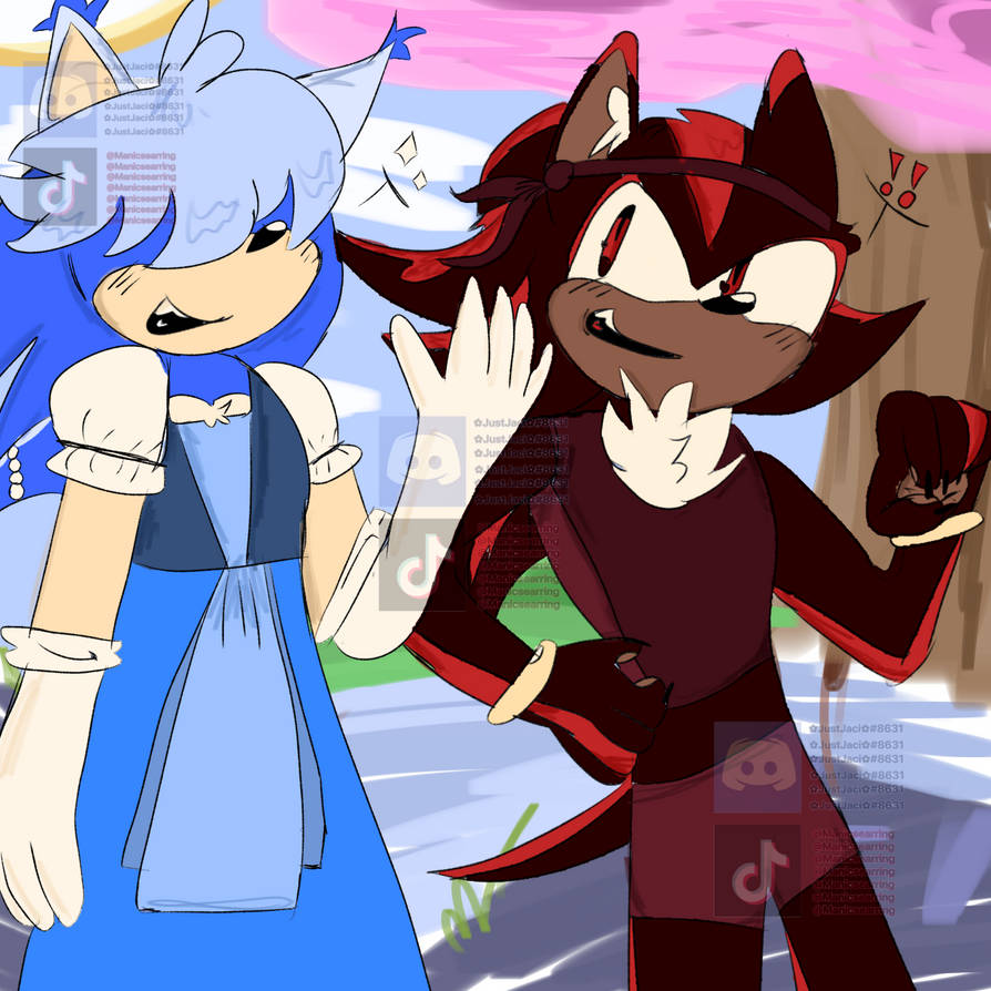 Sapphire and Ruby (SU) x Sonic and Shadow (TH) by juicejaci on DeviantArt