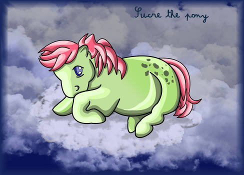 Sucre the Pony