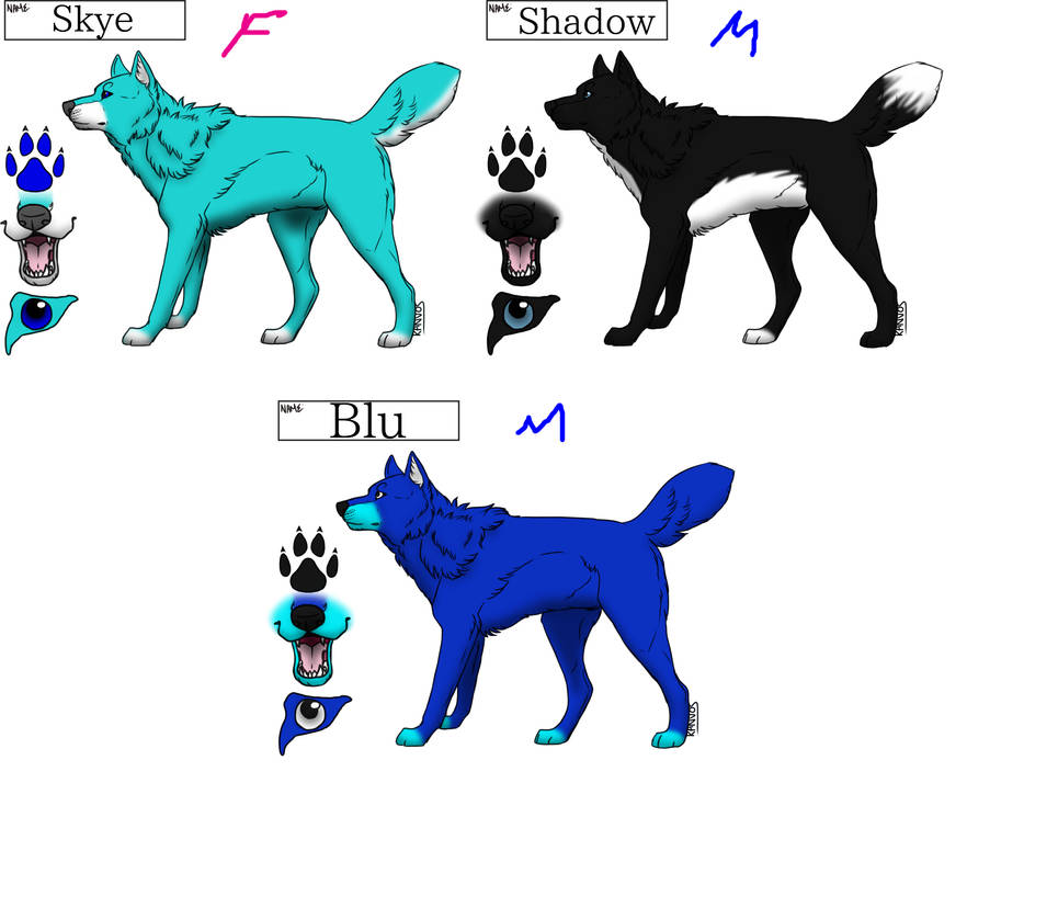 New Wolves (oc or character) by liongirl2289 on DeviantArt