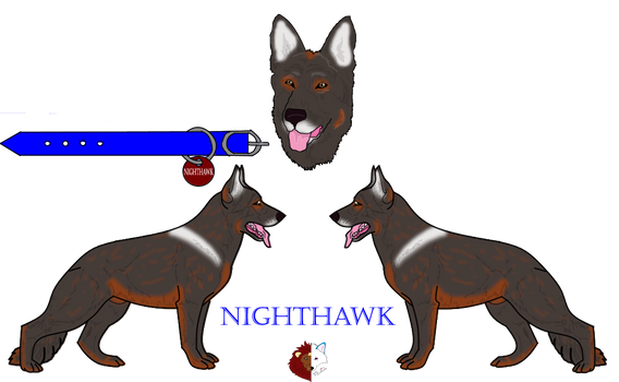 Nighthawk Ref
