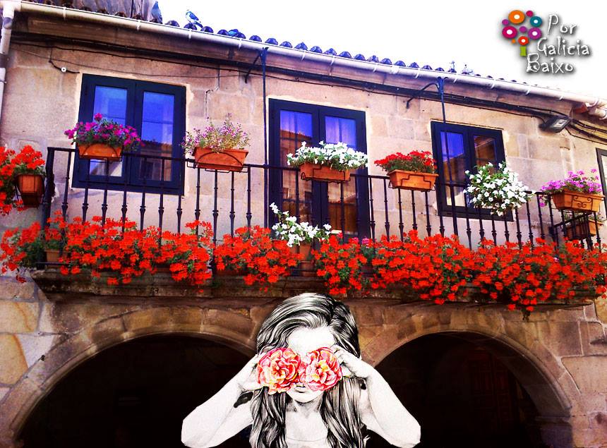 Flores by Porgaliciabaixo