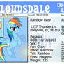 Rainbow Dash's Dare Devil Licence