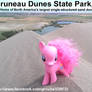 Pinkie Pie at the Bruneau Sand Dunes