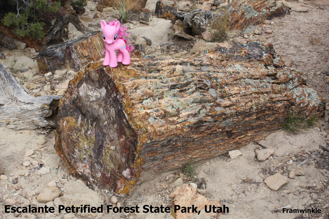 Pinkie Pie visits Escalante Petrified Forest by Framwinkle