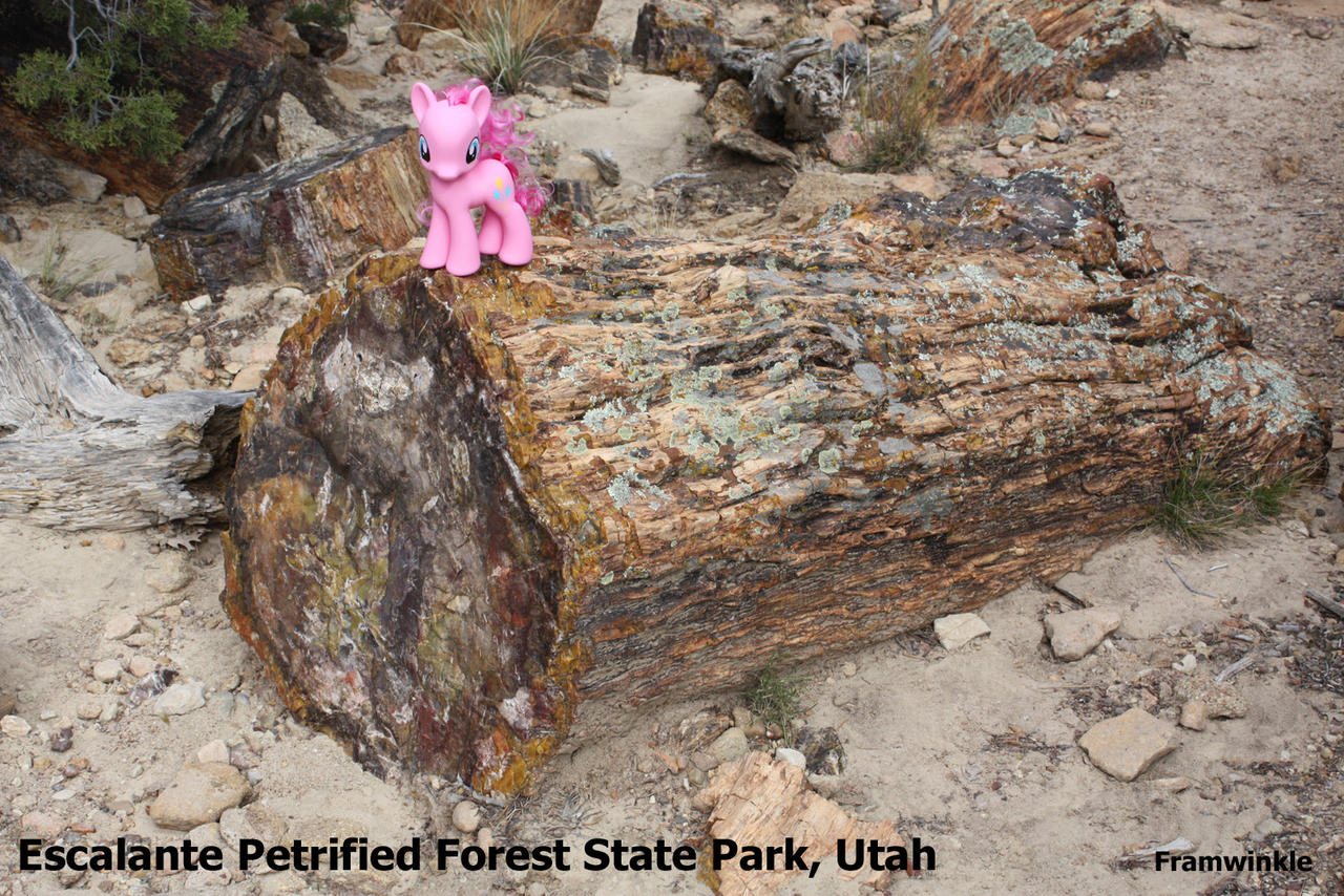 Pinkie Pie visits Escalante Petrified Forest by Framwinkle