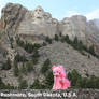 Mt Rushmore Pinkie