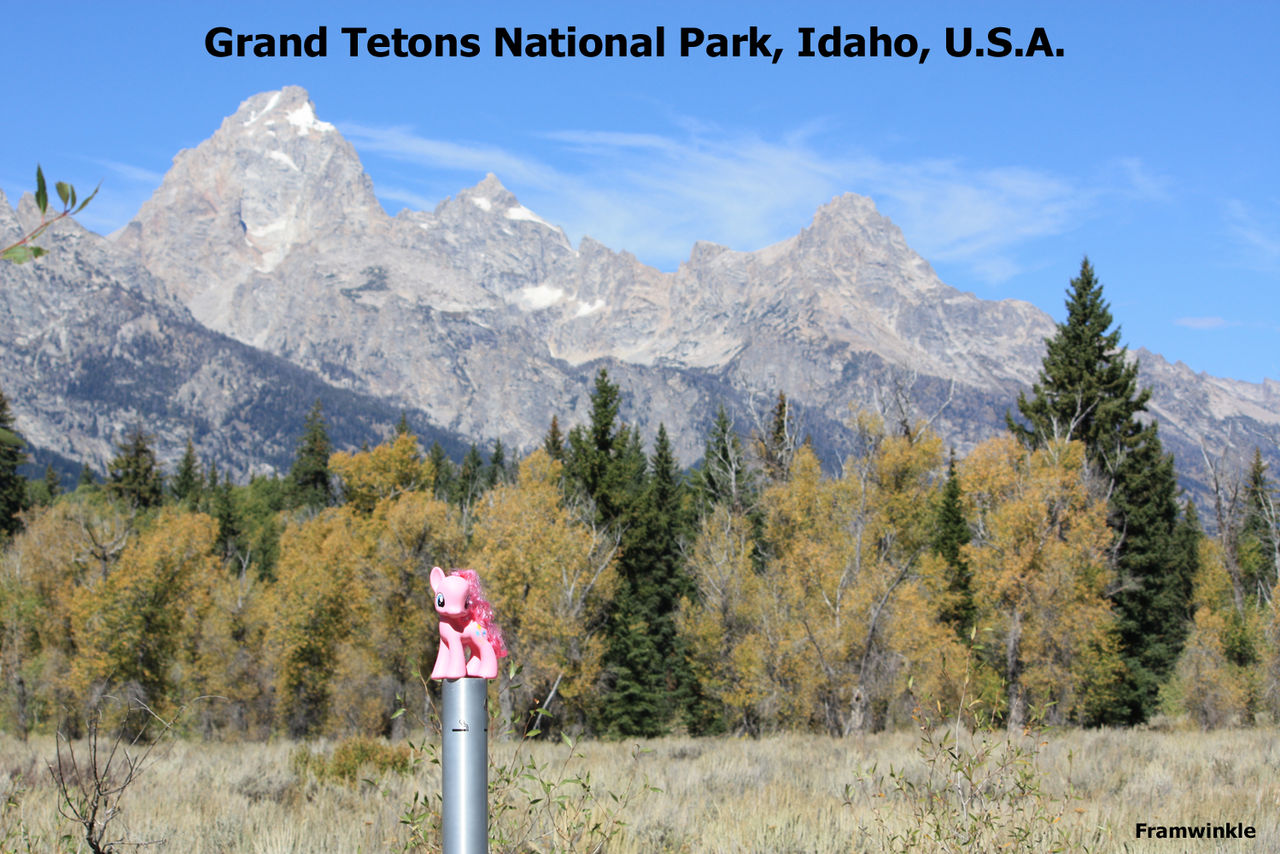 Grand Tetons Pinkie