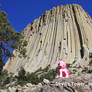 Devils Tower Pinkie