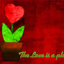 The Love is a plant