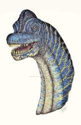 Brachiosaurus 2016