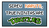 True Ninjas... by edloen