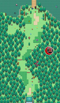 Pokemon Eclipsim Route 27