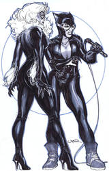 Black Cat and Catwoman