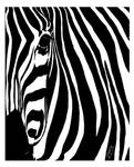 Zebra by Acolnahuacatl