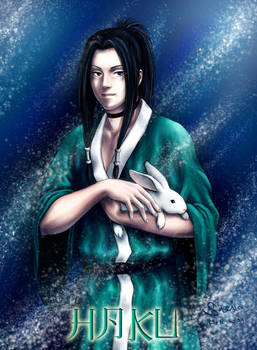 Haku in winter night