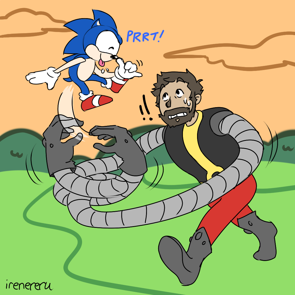 Catch That Hedgehog!