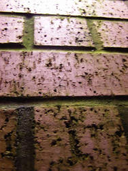 Mildew Brick