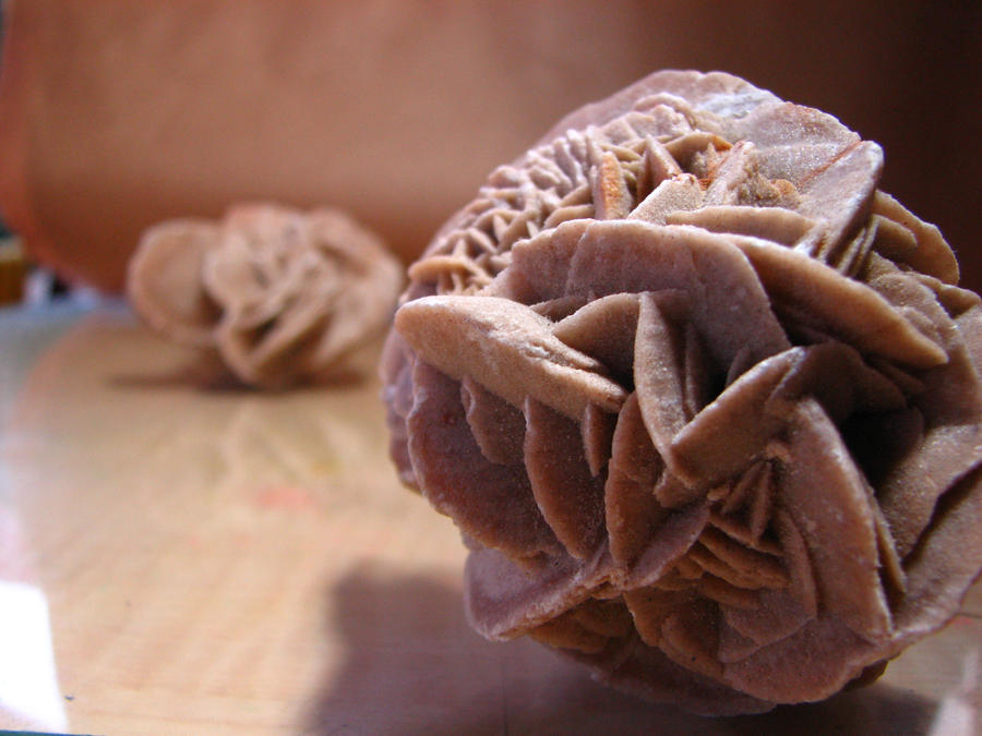 2d Desert Roses Macro World Desert Rose by KelevraRod on DeviantArt