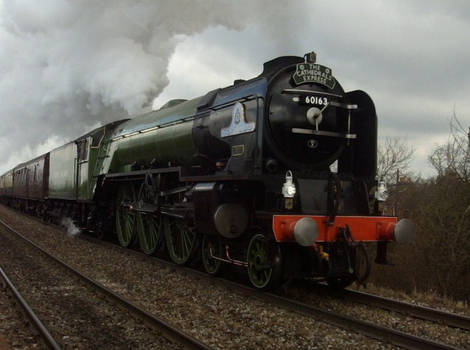 A1 Tornado 14.02.2010