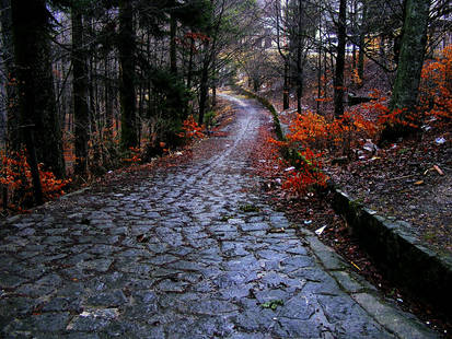 Alley near the Peles castle