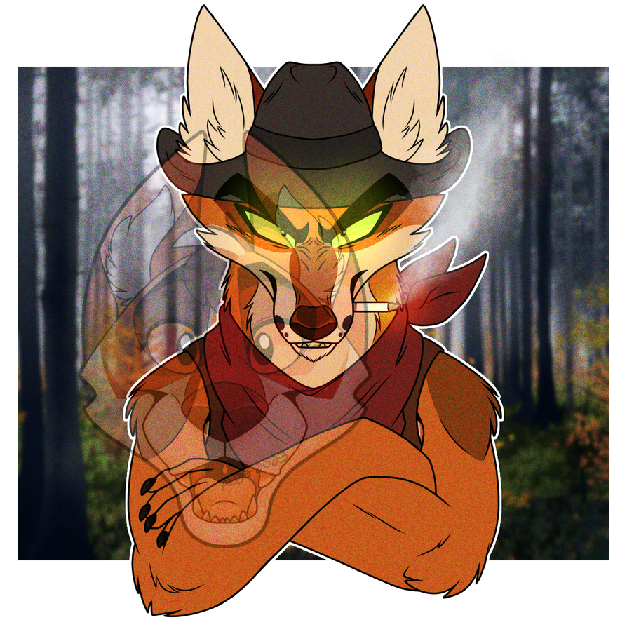 Coyotes Laughing by VixSwissArts on DeviantArt