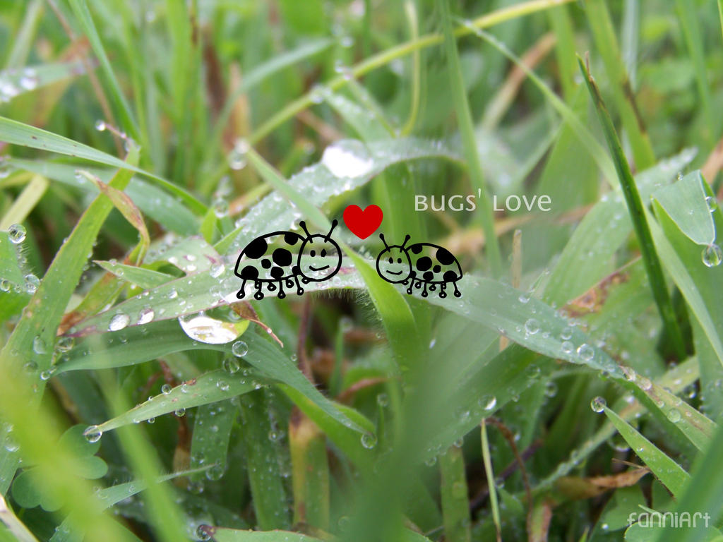 Deviantart Insect Love bugs' love by fanniArt on DeviantArt