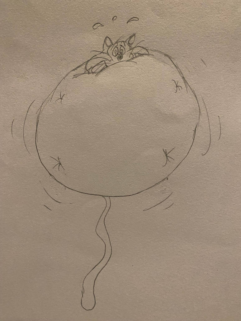 Top Cat Inflation Cat Inflation balloon by ToonsterDraws04 on DeviantArt