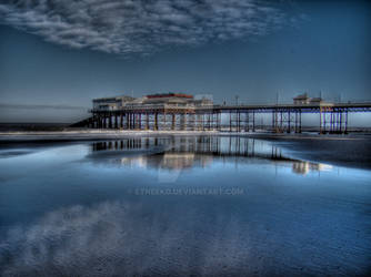 Victorian reflections 