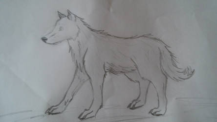 Wolf Doodle 2