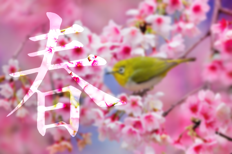 Japanese Character Spring Spring(Haru) Kanji by Michahyu on DeviantArt