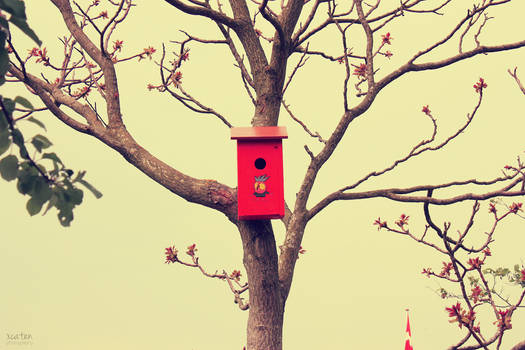 Birdhouse