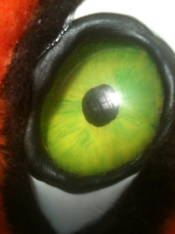 Eye close up