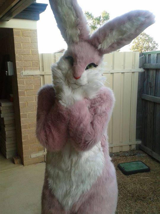 Pink Bunny by HybridCreampuff on DeviantArt