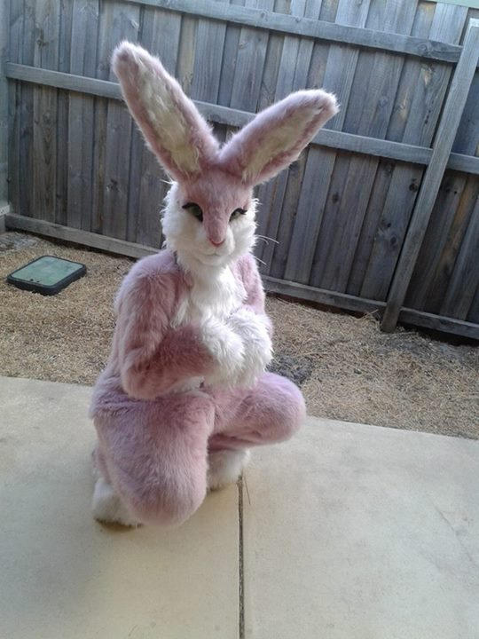 Pink Bunny by HybridCreampuff on DeviantArt
