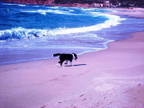 bryn at the sea