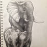 Mother Elephant in pencil