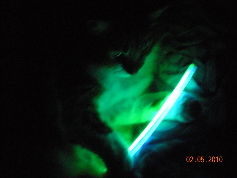 My Little Darth Kittius