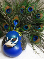 Peacock Rubber Duck