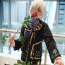 Shion: Destroy the Rose