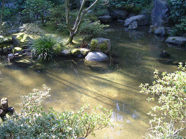 Japanese Garden 016