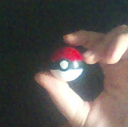 First Homemade Pokeball