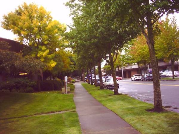 A street