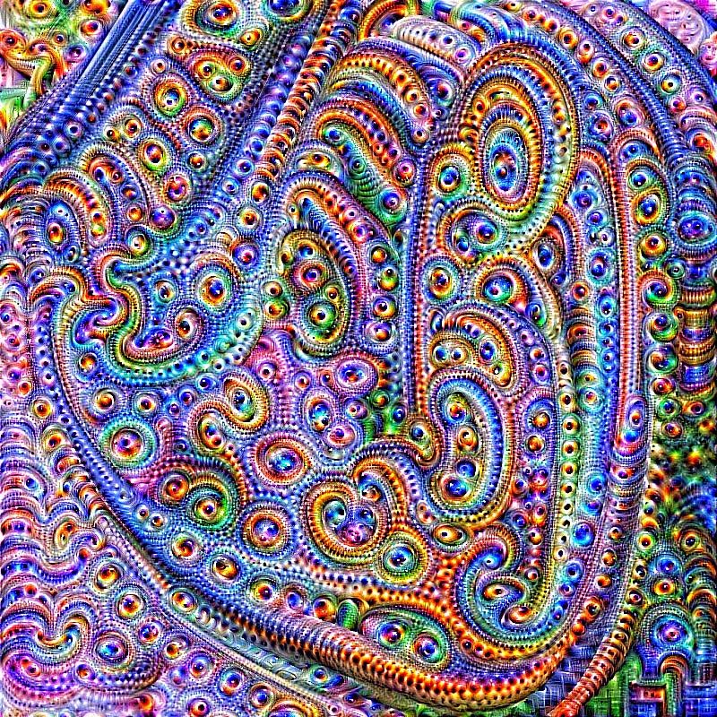 030429b DeepDream9b