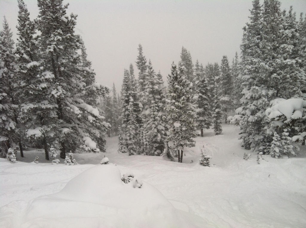 Colorado Winter 02