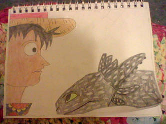 Luffy And Toothless 00 by 1nu-kimi